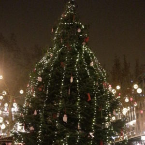 Christmas tree in Budapest City center at Christmas market