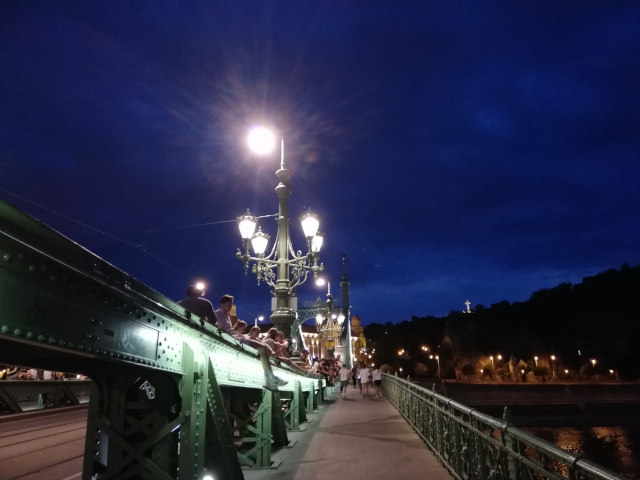 walking on green bridge Budapest