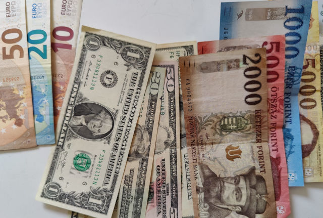 Does Hungary use Euro or Dollar