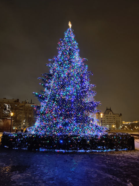 Budapest Christmas Tree